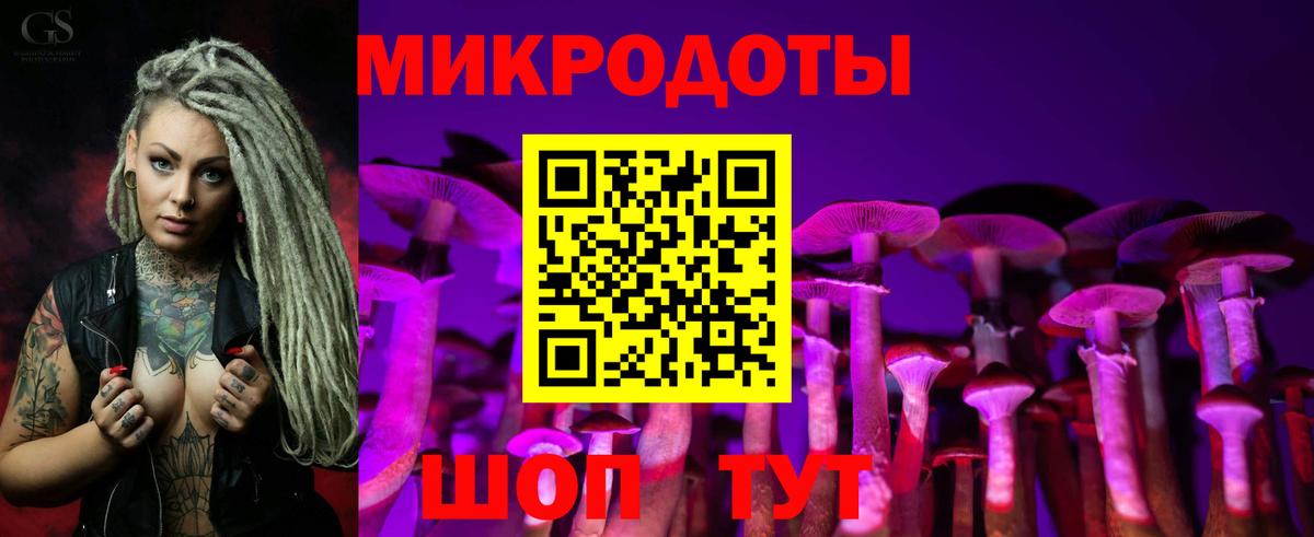 Вольск  Галлюциногенные грибы Psilocybe  Галлюциногенные грибы Psilocybe  Вход с VPN 